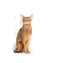 Protein Exigent dry cat food