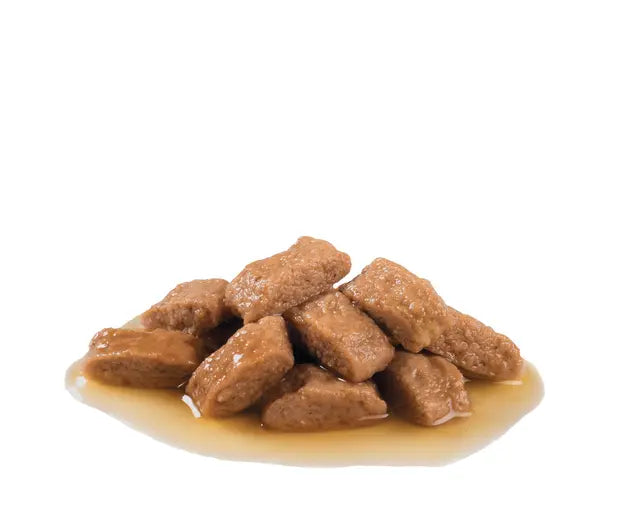 Royal Canin Medium Adult drėgnas pašaras - Vidutinių veislių suaugusiems šunims