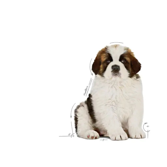 PUPPY - GIANT sausas pašaras šuniui
