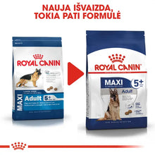 Royal Canin Maxi Adult 5+ sausas pašaras - Subrendusiems didelių veislių šunims