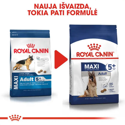 Royal Canin Maxi Adult 5+ sausas pašaras - Subrendusiems didelių veislių šunims