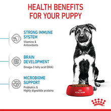 Royal Canin Maxi Puppy  sausas pašaras - Didelių veislių šuniukams