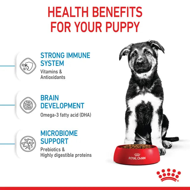 Royal Canin Maxi Puppy  sausas pašaras - Didelių veislių šuniukams