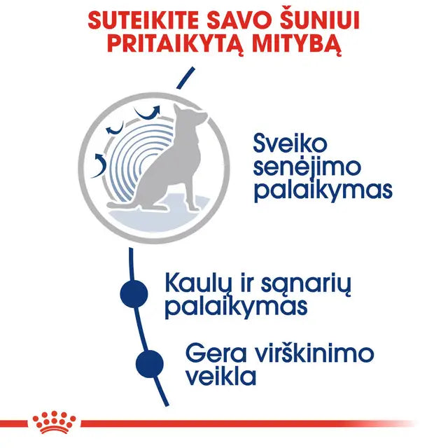 Royal Canin Maxi Ageing 8+ sucha karma – Dla bardzo starszych psów dużych ras