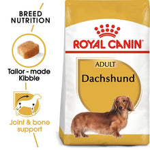 Dachshund Adult dry dog ​​food