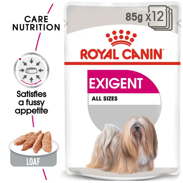 Royal Canin Exigent Loaf karma mokra dla psów 12x85g