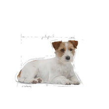 Royal Canin Size Health Nutrition Mini Ageing 12+ 1,5kg - Sausas maistas labai vyresnio amžiaus mažų veislių šunims