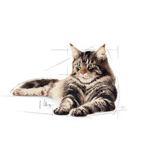 ROYAL CANIN Maine Coon Adult Thin Slices In Gravy - Drėgnas Pašaras Katėms 12x85g