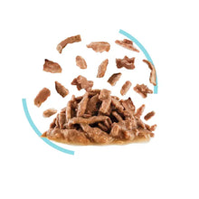 ROYAL CANIN SENSORY™ FEEL Morsels in Gravy - Wet Food for Adult Cats 12x85g