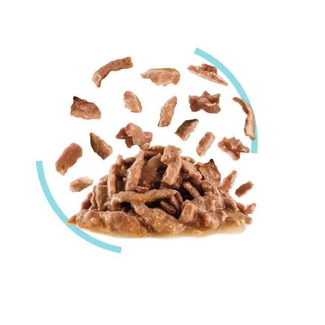 ROYAL CANIN SENSORY™ FEEL Morsels in Gravy - Wet Food for Adult Cats 12x85g