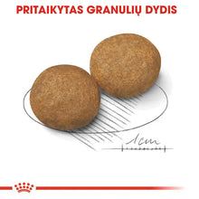 Royal Canin Medium Adult sausas pašaras - Suaugusiems vidutinių veislių šunims