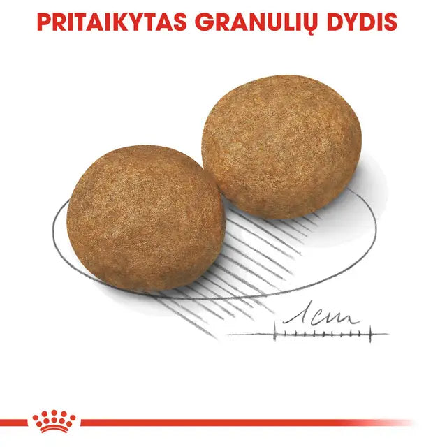 Royal Canin Medium Adult sausas pašaras - Suaugusiems vidutinių veislių šunims