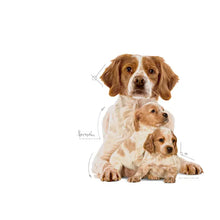 Royal Canin Starter Mother & Babydog Medium sausas pašaras - Vidutinių veislių kalėms ir šuniukams