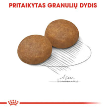 Royal Canin Maxi Adult 5+ sausas pašaras - Subrendusiems didelių veislių šunims