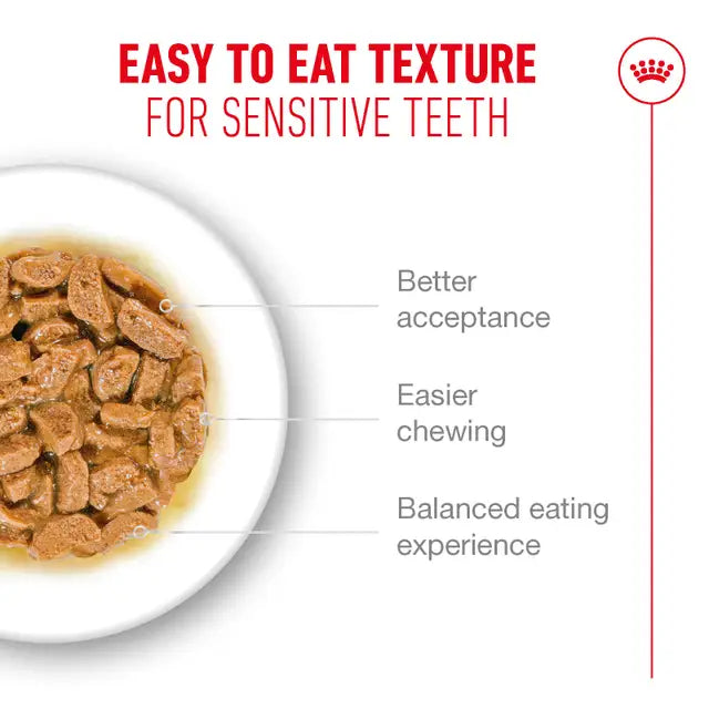 ROYAL CANIN Ageing 11+ Gravy - Wet Food for Senior Cats 12x85g
