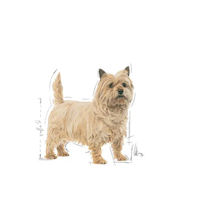 Light Weight Care wet dog food