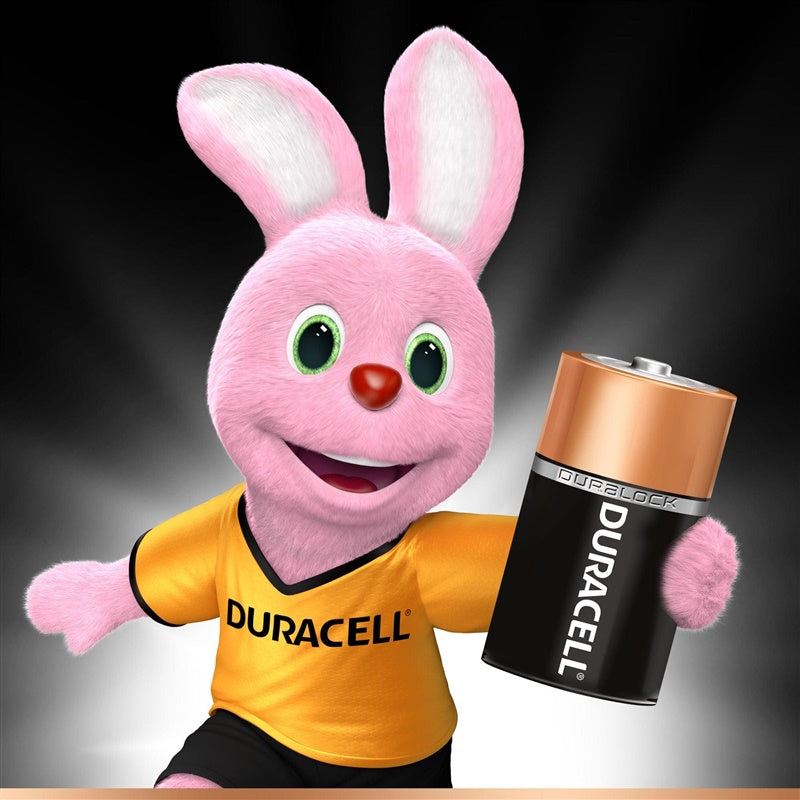 Elementai DURACELL AA/LR06, 1,5V, 18 vnt.