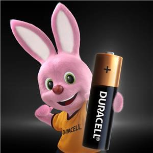 DURACELL AA/LR06 Batteries, 1.5V, 10 pcs.