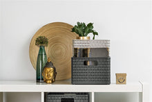 Storage Box ROTHO, 28 l, grey, 43×33×21.5 cm
