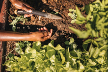 Fiskars Precise Depth Planter