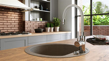Kitchen mixer tap Ferro Zorba BZR4S, silver/chrome
