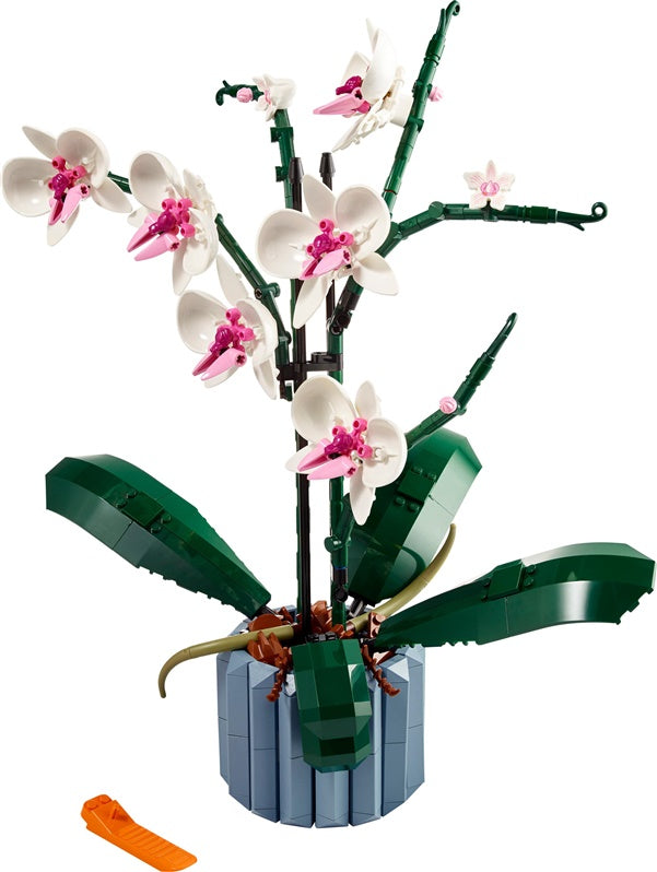 LEGO Creator Expert Orchid 10311, 608 pcs.
