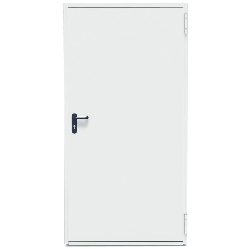 DURYS PLIEN PRIEŠGAISR T30-1 900X2100 RAL 9002