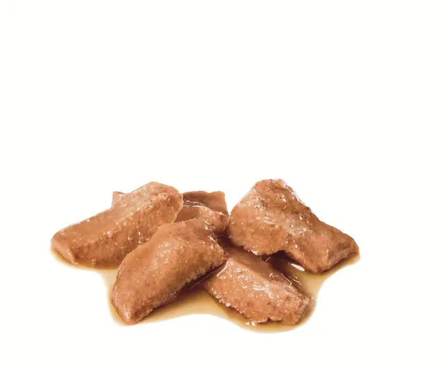 ROYAL CANIN Maine Coon Adult Thin Slices In Gravy - Drėgnas Pašaras Katėms 12x85g