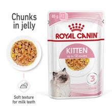 KITTEN Chunks in Jelly - Drėgnas Pašaras Kačiukams 12x85g
