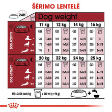 Royal Canin Medium Adult 7+ sausas pašaras - Subrendusiems vidutinių veislių šunims