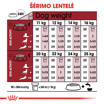 Royal Canin Medium Adult 7+ sucha karma - Dla dojrzałych psów ras średnich