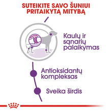 Giant Adult sausas pašaras šuniui