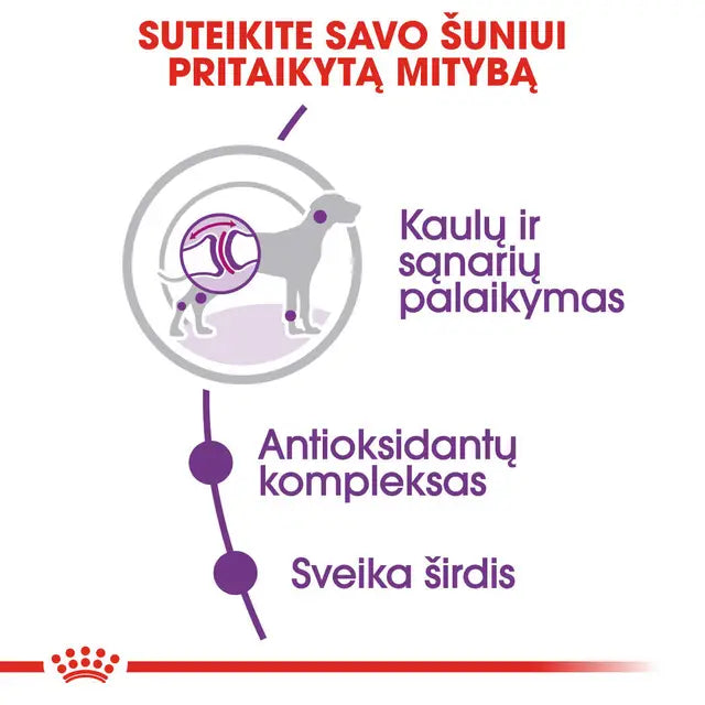 Giant Adult sausas pašaras šuniui