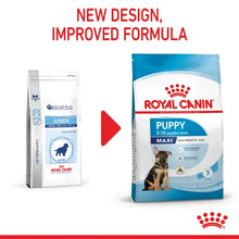 Royal Canin Maxi Puppy  sausas pašaras - Didelių veislių šuniukams