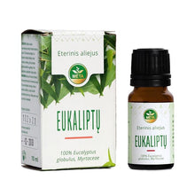 Eucalyptus Essential Oil Mint, 10 ml