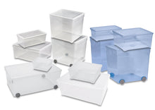 Storage box CURVER, 18.5 l, transparent, 40×34×16 cm