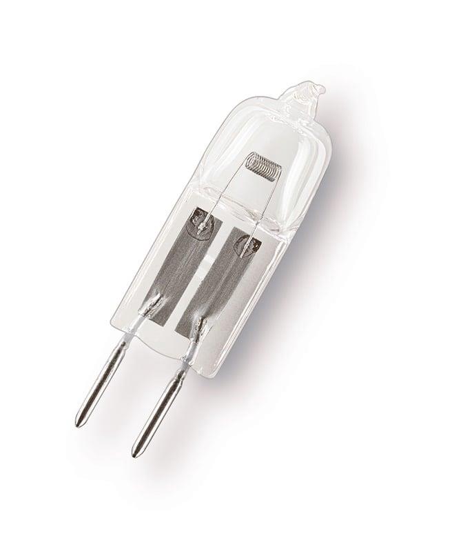 HALOGEN BULB (50 W; 12 V; GY6.35; 2 pcs)