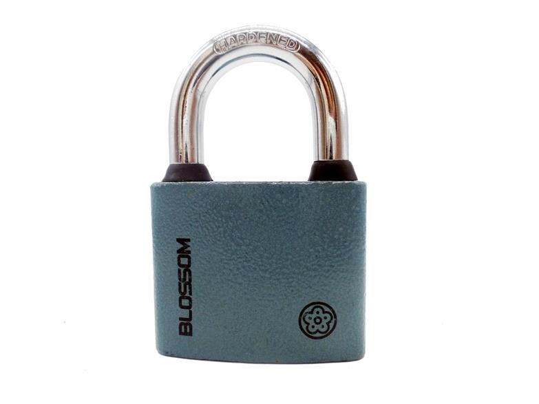 Padlock Blossom BC2938 6/72, 38 x 34 mm