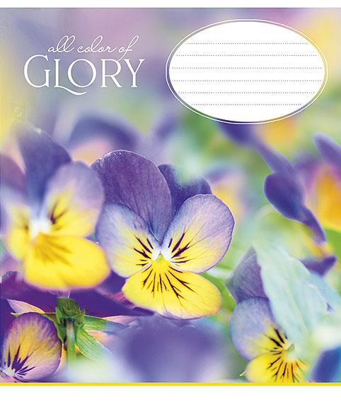 Notebook with lines, B5, 12 sheets 70449/012-2729L