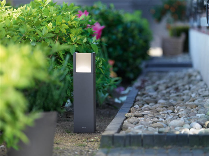 Lampa stojąca Philips Arbour 164629316 1X6,5W LED
