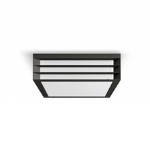 Tvirtinamas šviestuvas Philips 1735093PN Moonshine E27 14W