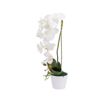 Dirbtinė orchidėja vazone, 50 cm