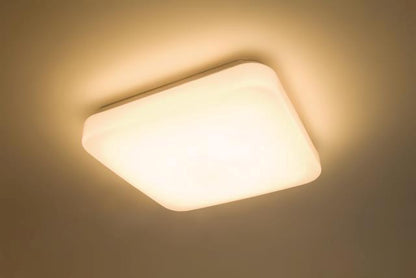 Ceiling light Philips Mauve 3111031P0, 17W, LED