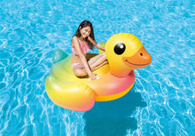 Nadmuchiwana tratwa INTEX DUCK 57556NP, Ø 147 cm