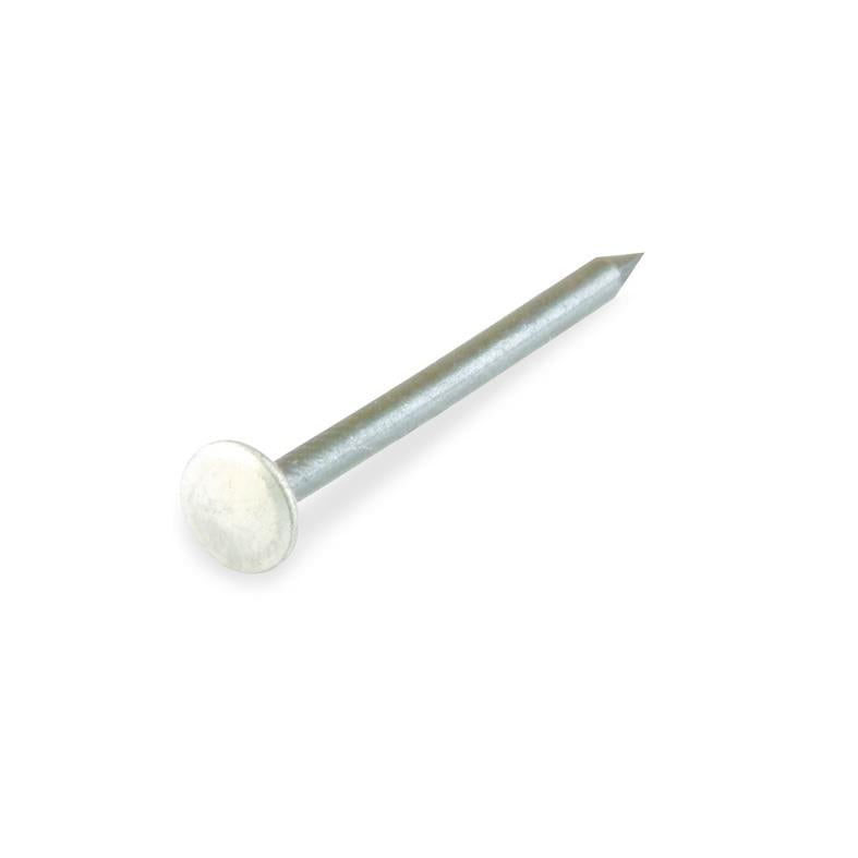 Statybinės vinys, 2 x 30 mm, 20 vnt.
