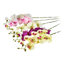 Dirbtinė orchidėja, 70 cm