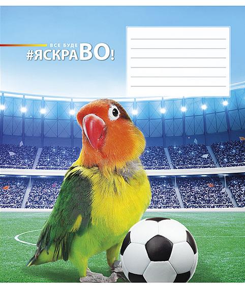 Sąsiuvinis 12 lapų langeliai 012-2720L
