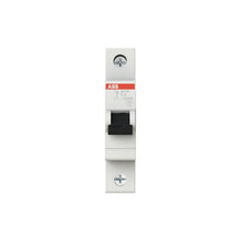 Automatinis jungiklis ABB SH201 1P C 6kA, 6 A