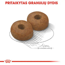 Royal Canin Maxi Ageing 8+ sucha karma – Dla bardzo starszych psów dużych ras