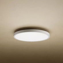 Xiaomi Mi Smart Ceiling šviestuvas D30 BHR9934GL, balta spalva